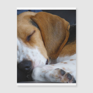 Carte Magnétique beagle endor.png