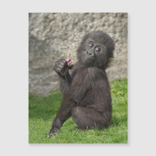 Carte Magnétique Bébé mignon Gorilla