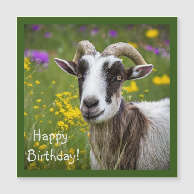 Carte Magnétique Belle chèvre (Devant)