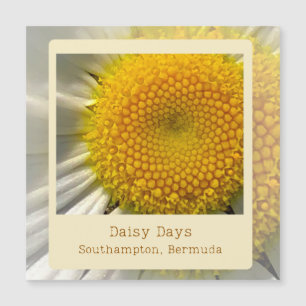 Carte magnétique Bermuda Daisy
