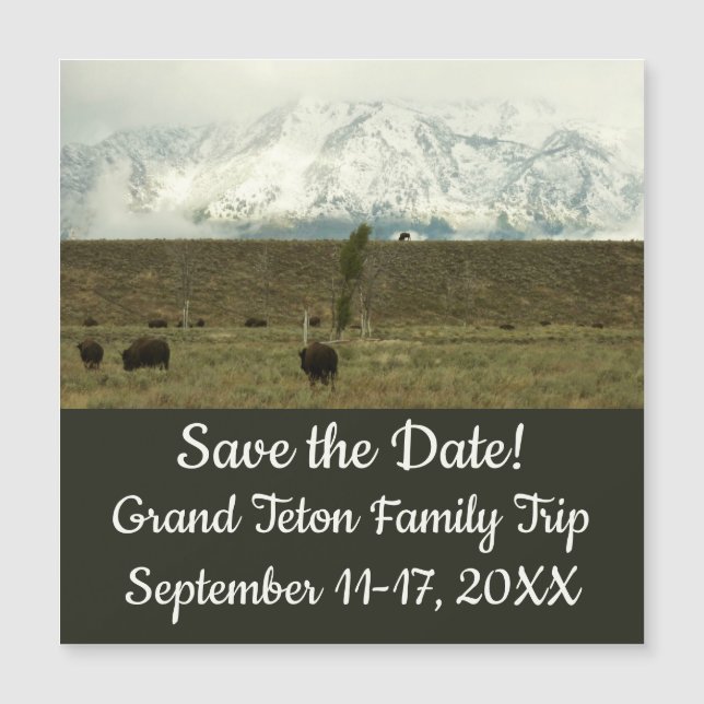 Carte Magnétique Bison à Grand Teton National Park Photographie (Devant)