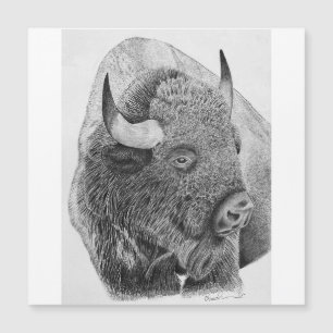 Carte Magnétique Bison d'Amérique