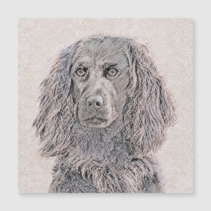 Carte Magnétique Boykin Peinture Espagnole - Cute Original Chien Ar