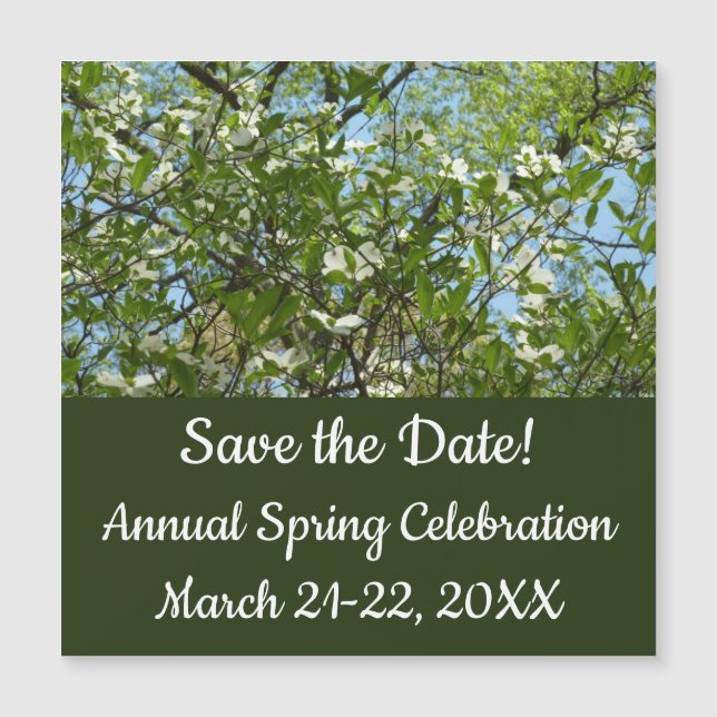 Carte Magnétique Branche of Dogwood Blossoms Spring Trees (Devant)