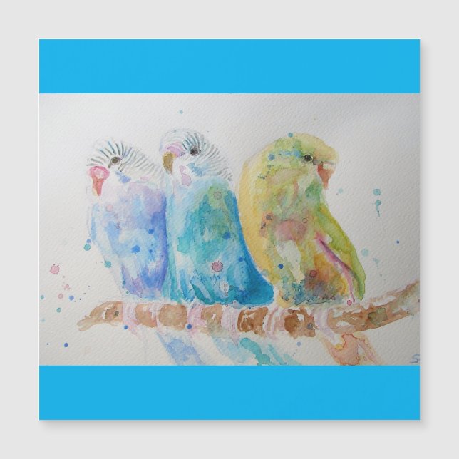 Carte Magnétique Budgie Aquarelle Peinture d'oiseau Budgies Aqua Tu (Devant)