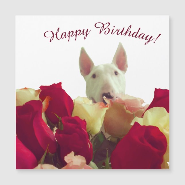 Carte Magnétique Bull terrier avec rose - Joyeux anniversaire! (Devant)