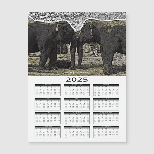 Carte Magnétique Calendrier Elephant Eyes 2025 (Devant)