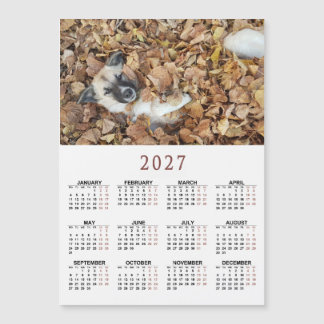 Carte Magnétique Calendrier magnétique 2027 avec Vos animaux