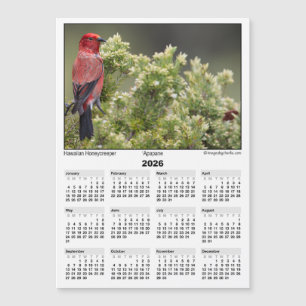 Carte Magnétique Calendrier magnétique 5x7 2026 Apapane Oiseau Hawa