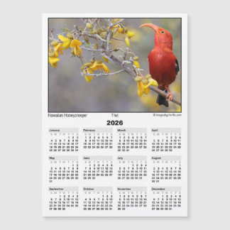 Carte Magnétique Calendrier magnétique 5x7 2026 Iiwi HawaiianHoneyc