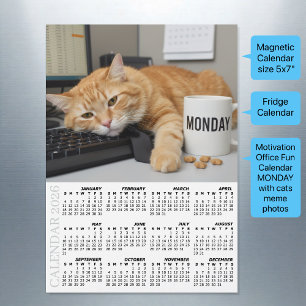 Carte Magnétique Calendrier Réfrigérateur Chat de Bureau 2026, Moti