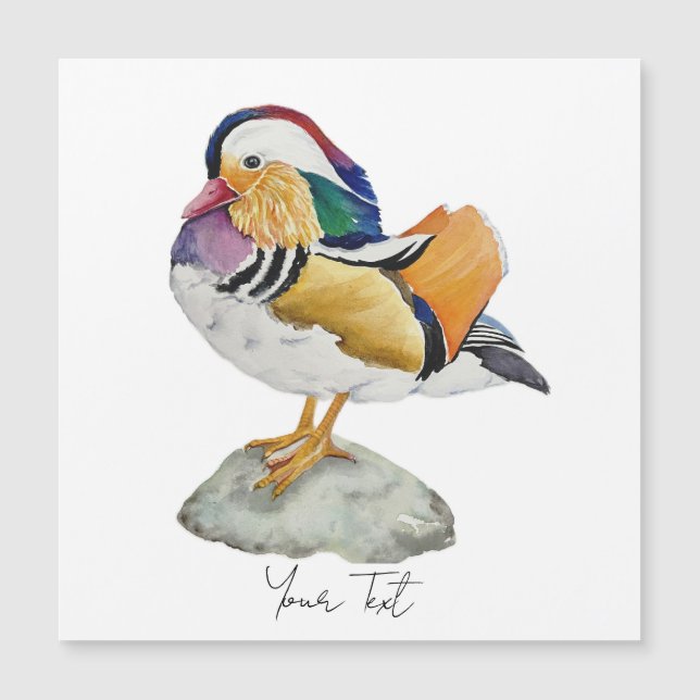 Carte Magnétique Canard mandarin à l'aquarelle (Devant)
