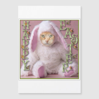 Carte Magnétique Cat Easter Bunny Claude Holiday Card