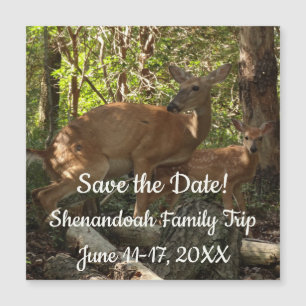 Carte Magnétique Cerf et Biche au Parc National de Shenandoah