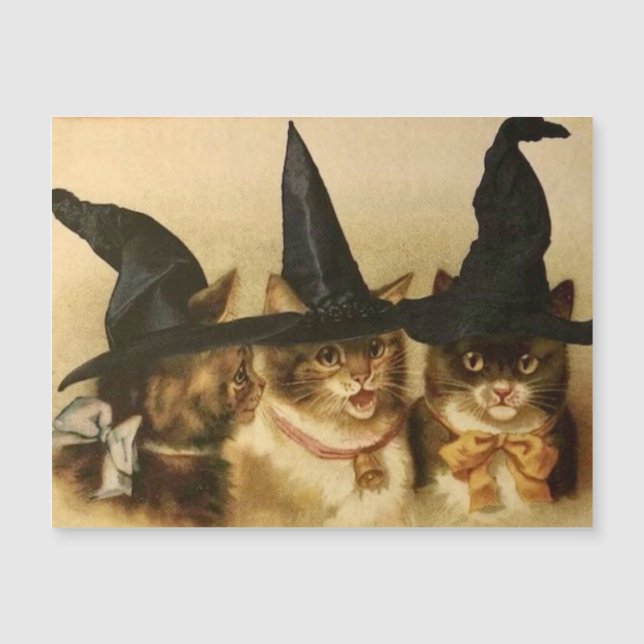 Carte Magnétique Chats noirs d'Halloween vintage (Devant)