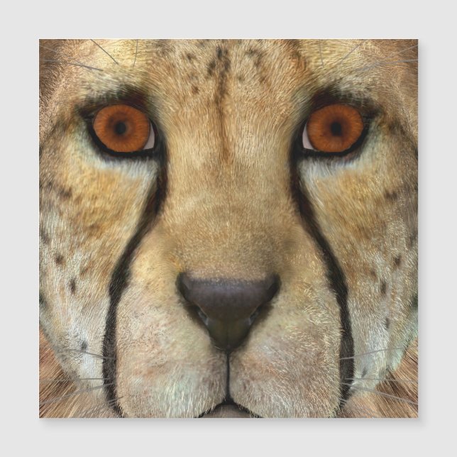 Carte Magnétique Cheetah (Devant)