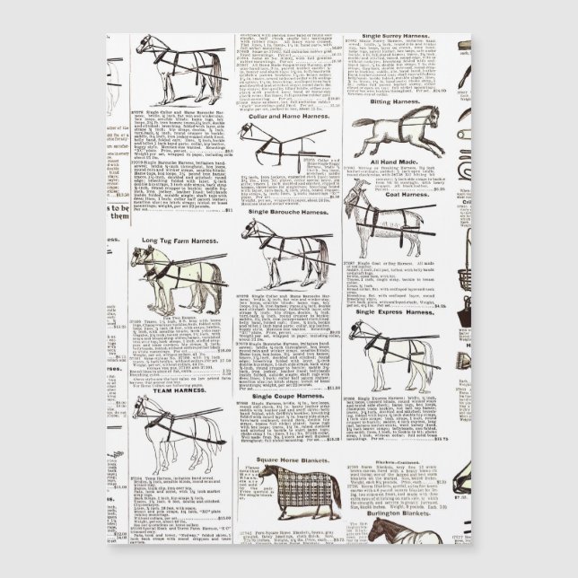 Carte Magnétique Cheval Antique Publicité Journal Art (Devant)