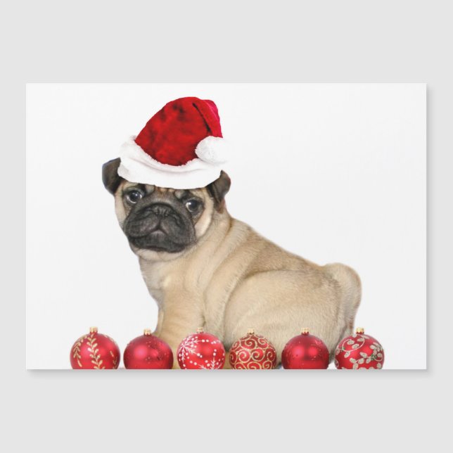 Carte Magnétique chien de carlin de Noël (Devant)