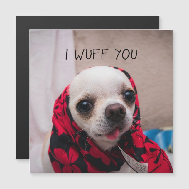 Carte Magnétique Chihuahua mignon Je vous jure que vous aimez la ca (Devant / Derrière)