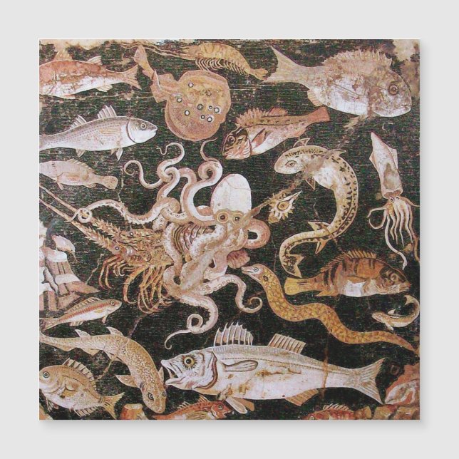 CARTE MAGNÉTIQUE COLLECTE POMPEII / OCÉAN - SCÈNE DE VIE MARINE (Devant)