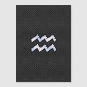 Carte Magnétique Connexion moderne Silver Aquarius Zodiac Snake