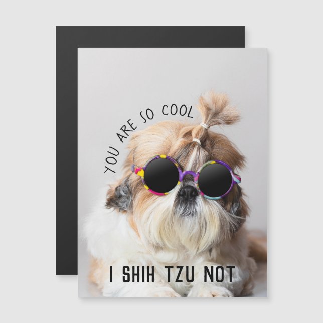 Carte Magnétique Cool Shih Tzu Pas amusant Lunettes de soleil migno (Devant / Derrière)