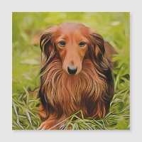 Dachshund Brown Wiener Sur L'Herbe Dans Le Jardin 