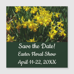 Carte Magnétique Daffodiles Jaunes I Fleurs De Printemps Cheveux