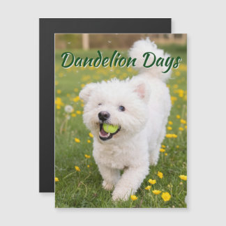 Carte Magnétique Dandelion Days
