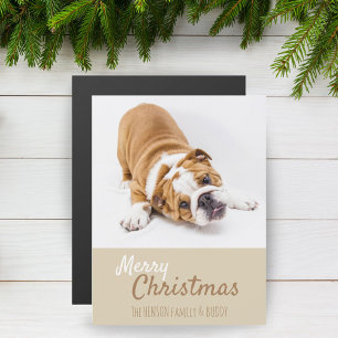 Carte magnétique de Noël avec photo de chiot Boule