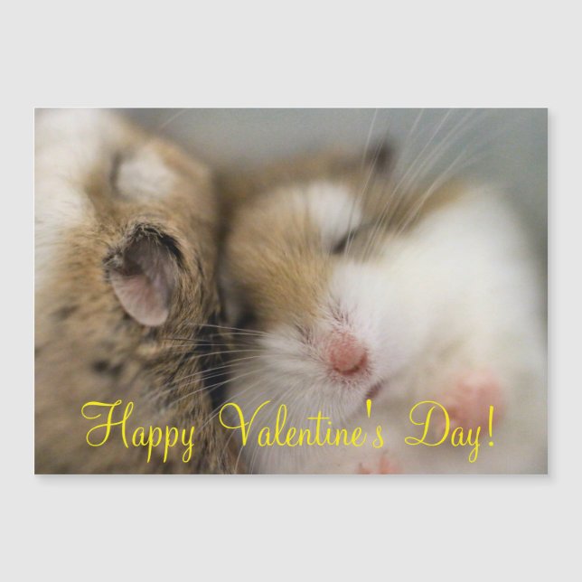 Carte Magnétique Déplacer vers Bob (Devant)