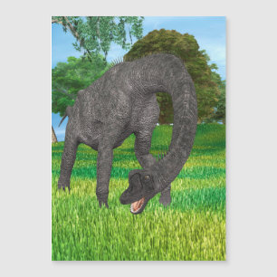 Carte Magnétique Dinosaure Brachiosaure
