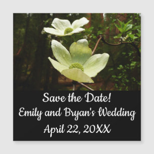 Carte Magnétique Dogwoods et séquoias dans le parc national Yosemit