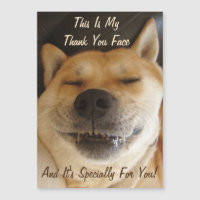 drôle akita japonaise avec joli sourire merci