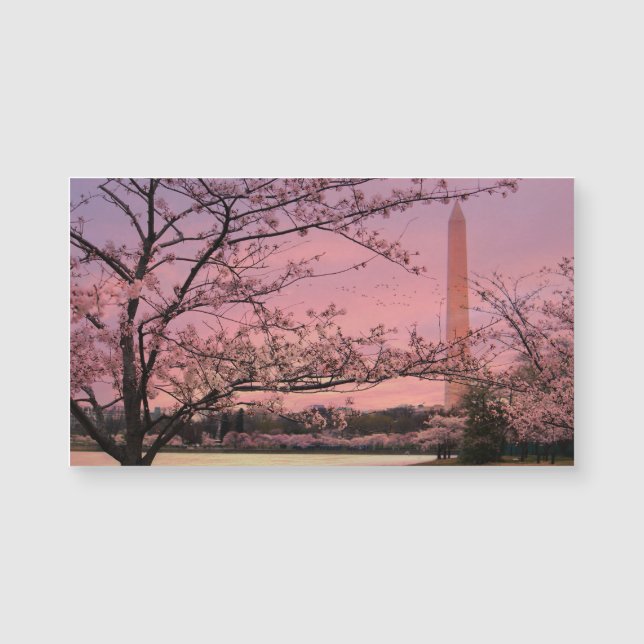 Carte Magnétique Festival Cherry Blossom du Monument de Washington (Devant)