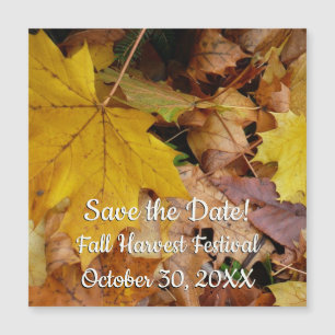 Carte Magnétique Feuilles de érable tombées Jaune Automne Nature