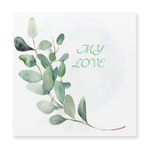 Feuilles de l'Eucalyptus vert