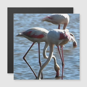 Carte Magnétique Flamants roses Temps d'alimentation Peinture acryl