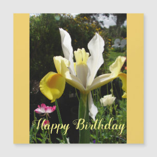 Carte Magnétique Fleur d'Iris Jaune Floral Irises d'anniversaire