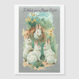 Carte Magnétique Fluffy Blanc Vintage lapins de Pâques