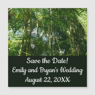 Carte Magnétique Forest of Palm Trees Tropical Nature