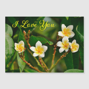 Carte Magnétique Frangipani jaune