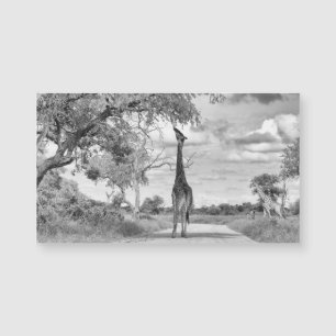 Carte Magnétique Giraffe sur la route