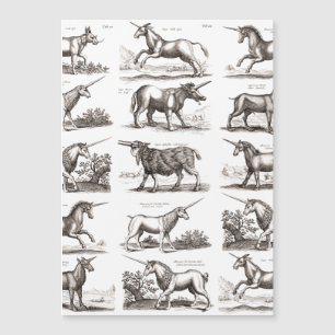 Carte Magnétique Gravure de licorne antique Spécimen de zoologie vi