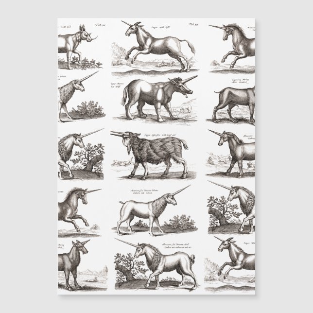 Carte Magnétique Gravure de licorne antique Spécimen de zoologie vi (Devant)