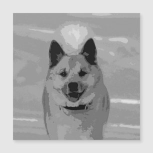 Carte Magnétique IcelandicSheepdog20151203