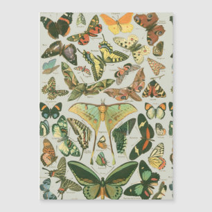 Carte Magnétique Impression de motif de papillon de nuit vintage