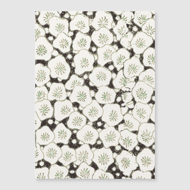 Carte Magnétique Jardin floral à fleurs blanches du Japon (Devant)
