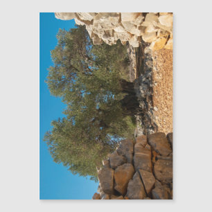 Carte Magnétique Jardins d'olivier de Lun