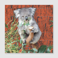 Carte magnétique Koala Snack Time